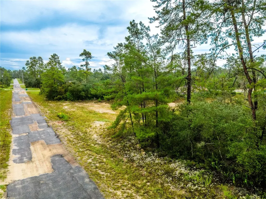 8109 N Wayside Avenue Dunnellon FL 34433