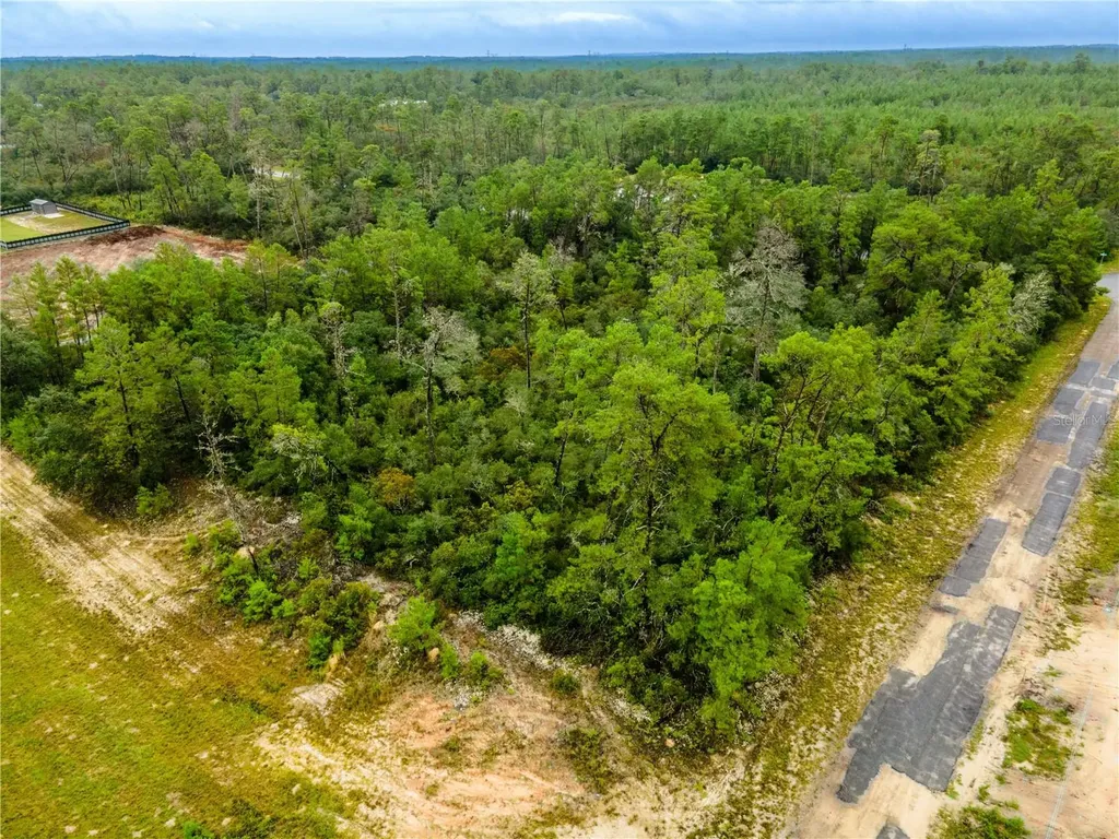 8109 N Wayside Avenue Dunnellon FL 34433