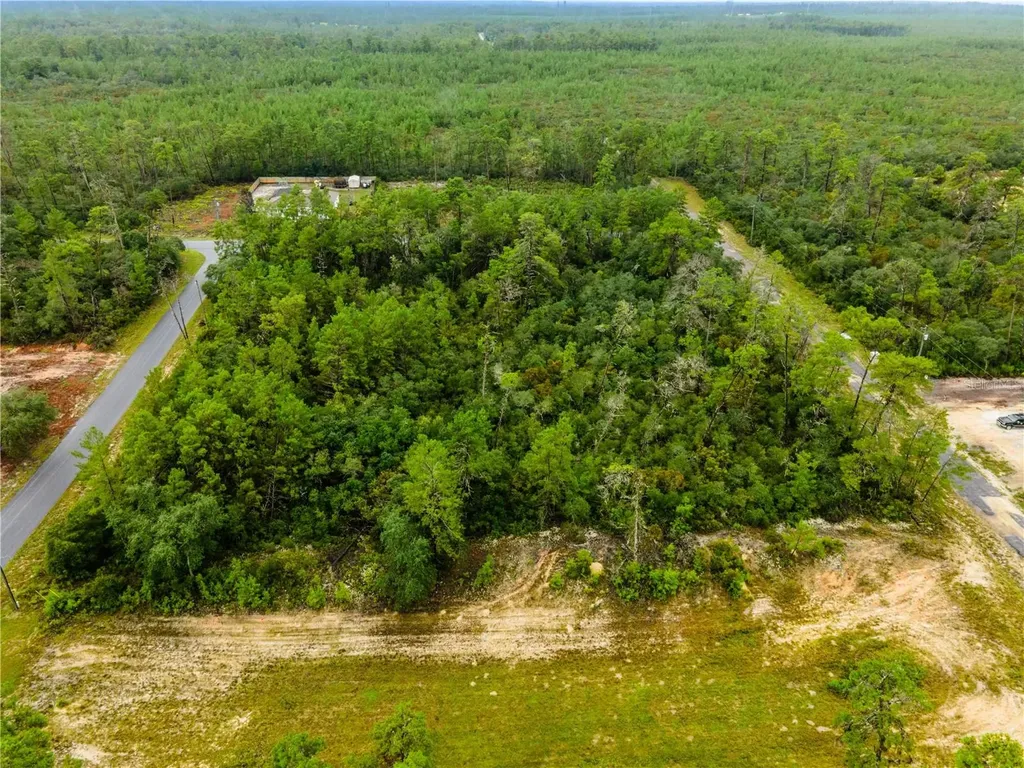 8109 N Wayside Avenue Dunnellon FL 34433