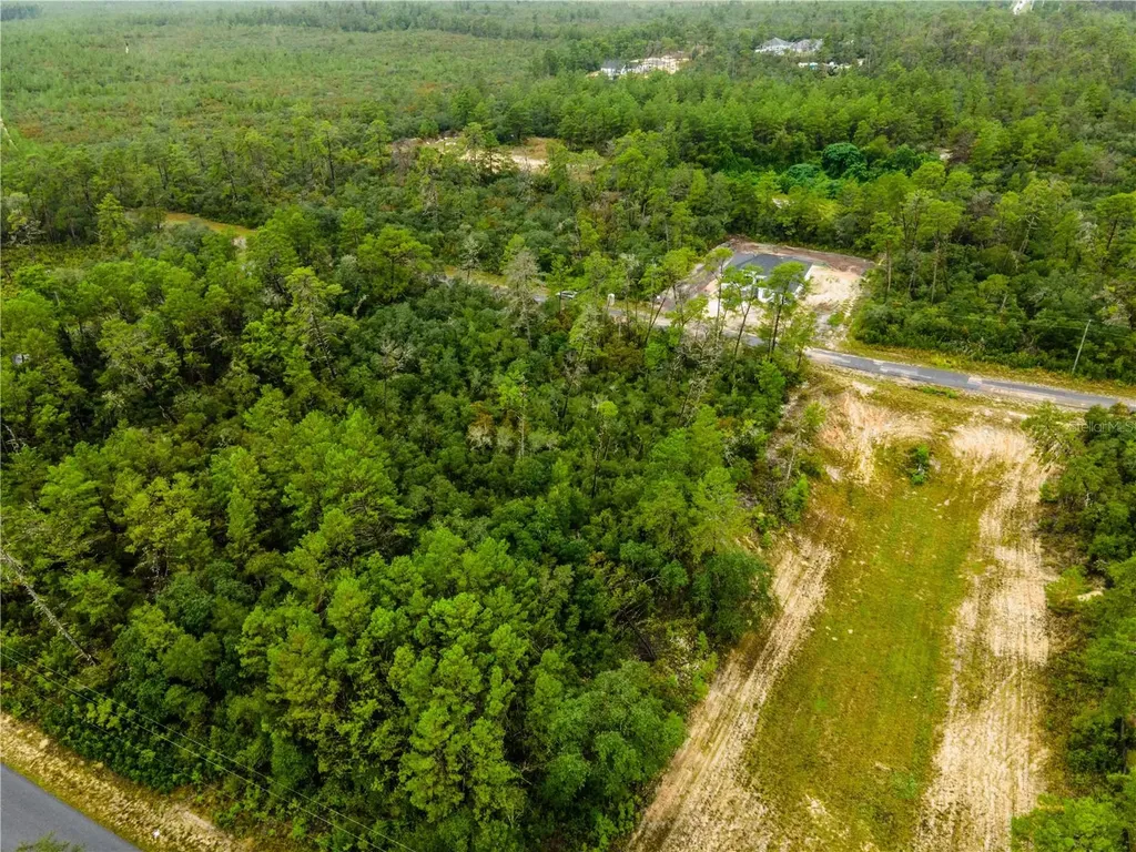 8109 N Wayside Avenue Dunnellon FL 34433