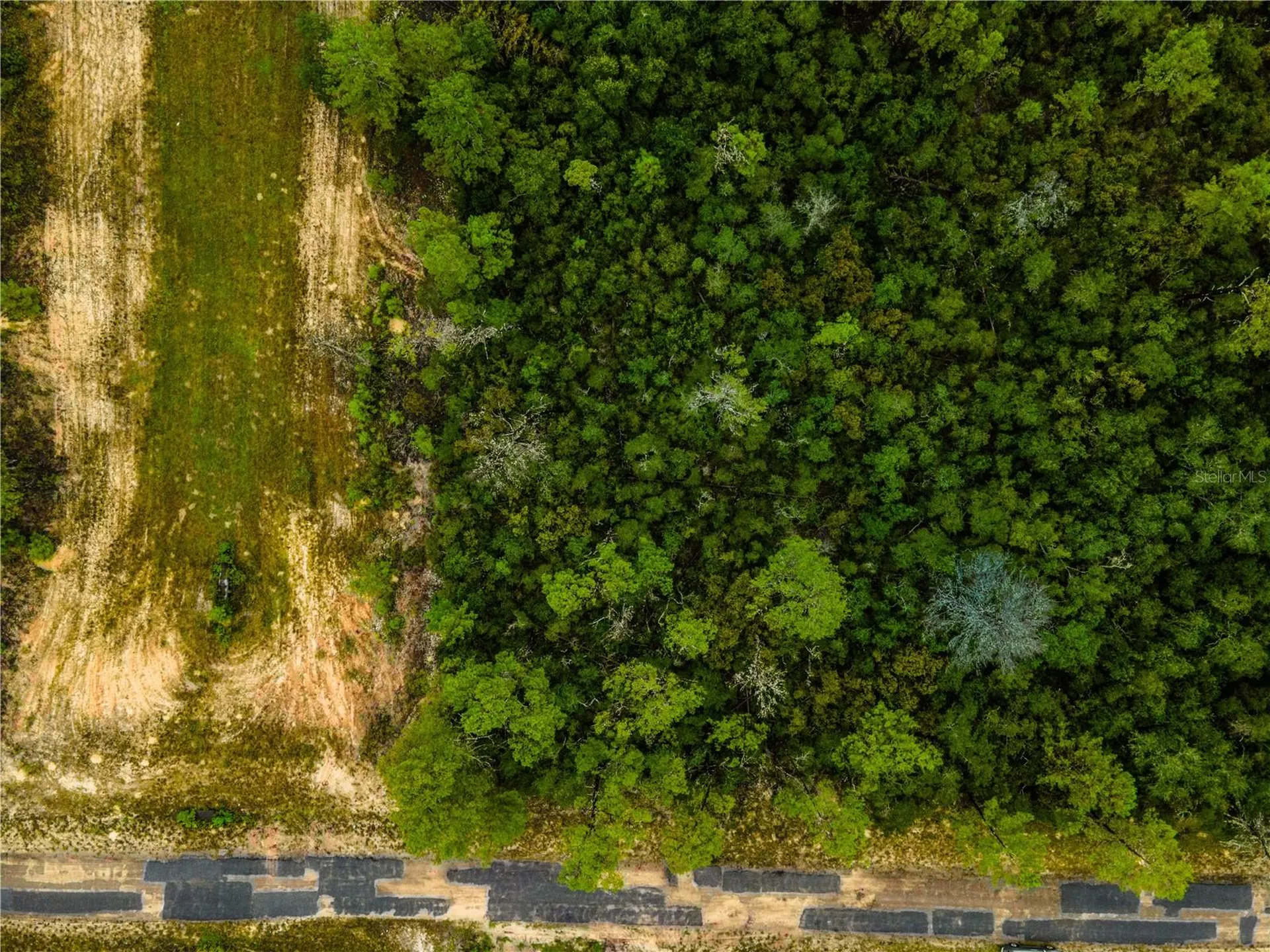 8109 N Wayside Avenue Dunnellon FL 34433