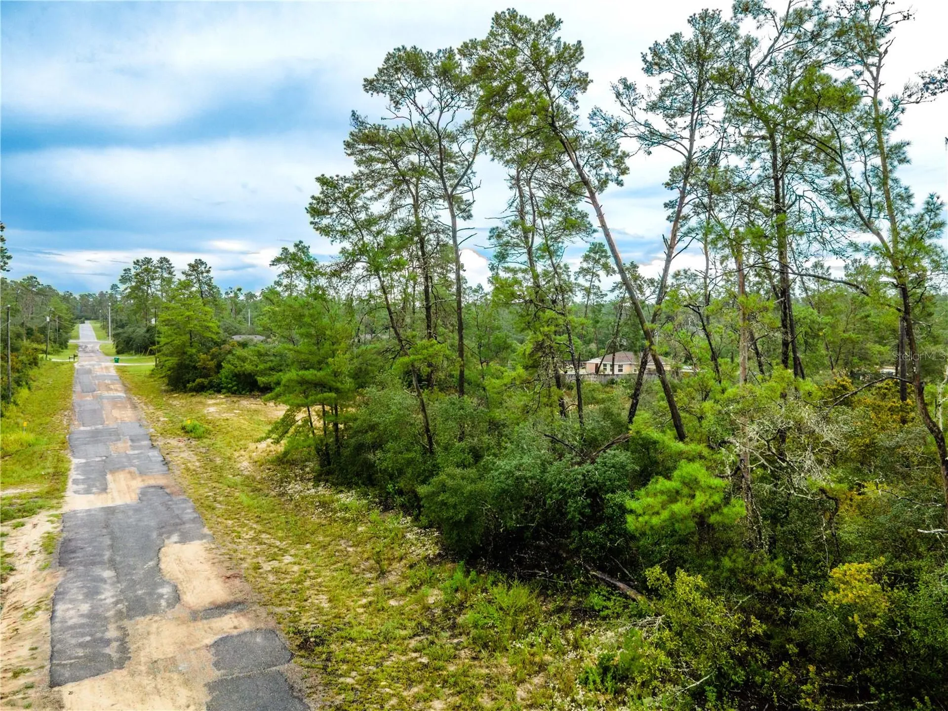 8109 N Wayside Avenue Dunnellon FL 34433
