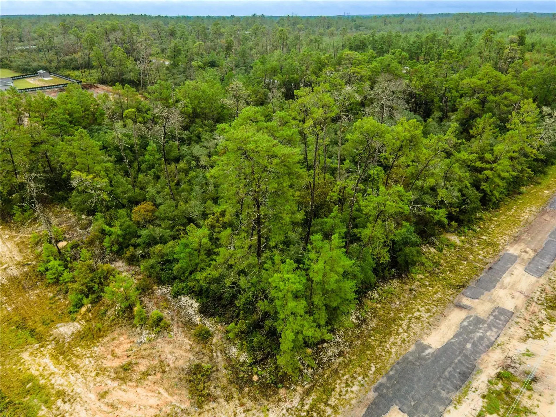 8109 N Wayside Avenue Dunnellon FL 34433