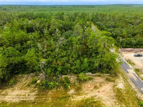 8109 N Wayside Avenue Dunnellon FL 34433