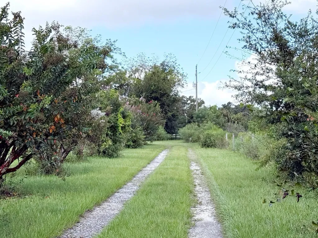 6896 Cr 619 Bushnell FL 33513