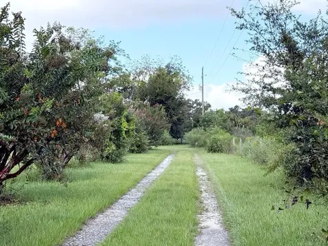6896 Cr 619 Bushnell FL 33513