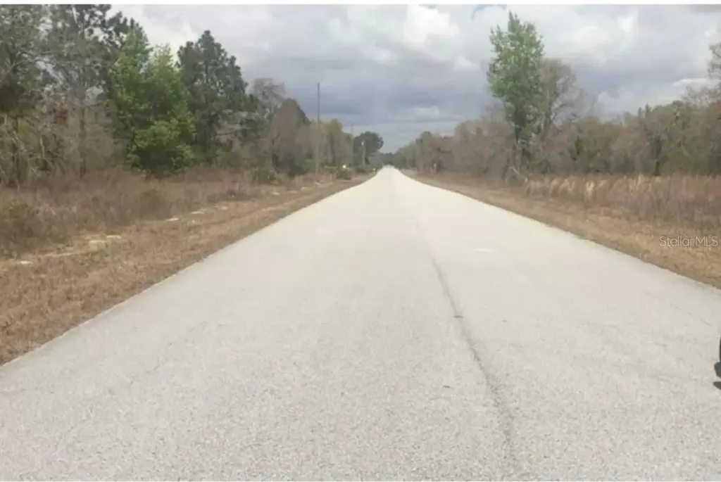 Tbd SW Portulaca Court Dunnellon FL 34431