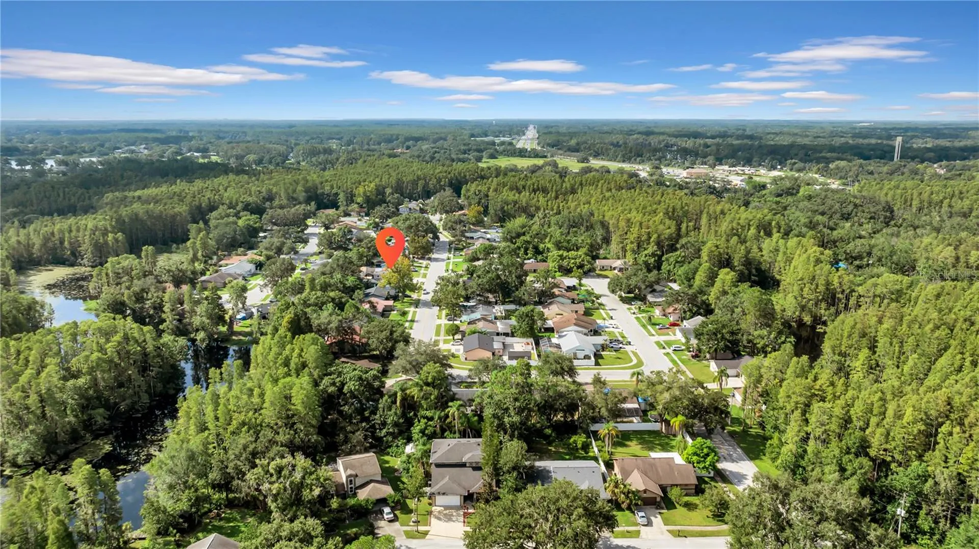 1352 Foxwood Drive Lutz FL 33549