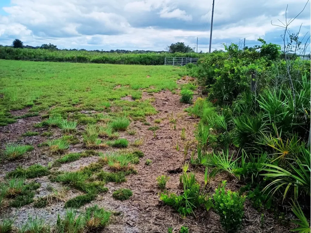 20533 NW 250th Street Okeechobee FL 34972