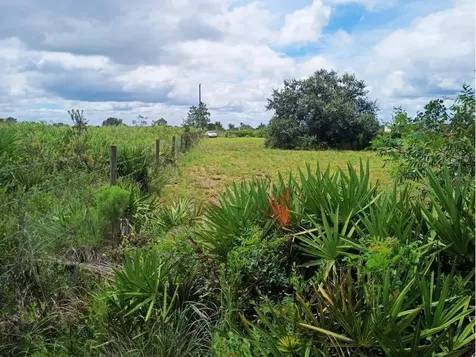 20533 NW 250th Street Okeechobee FL 34972