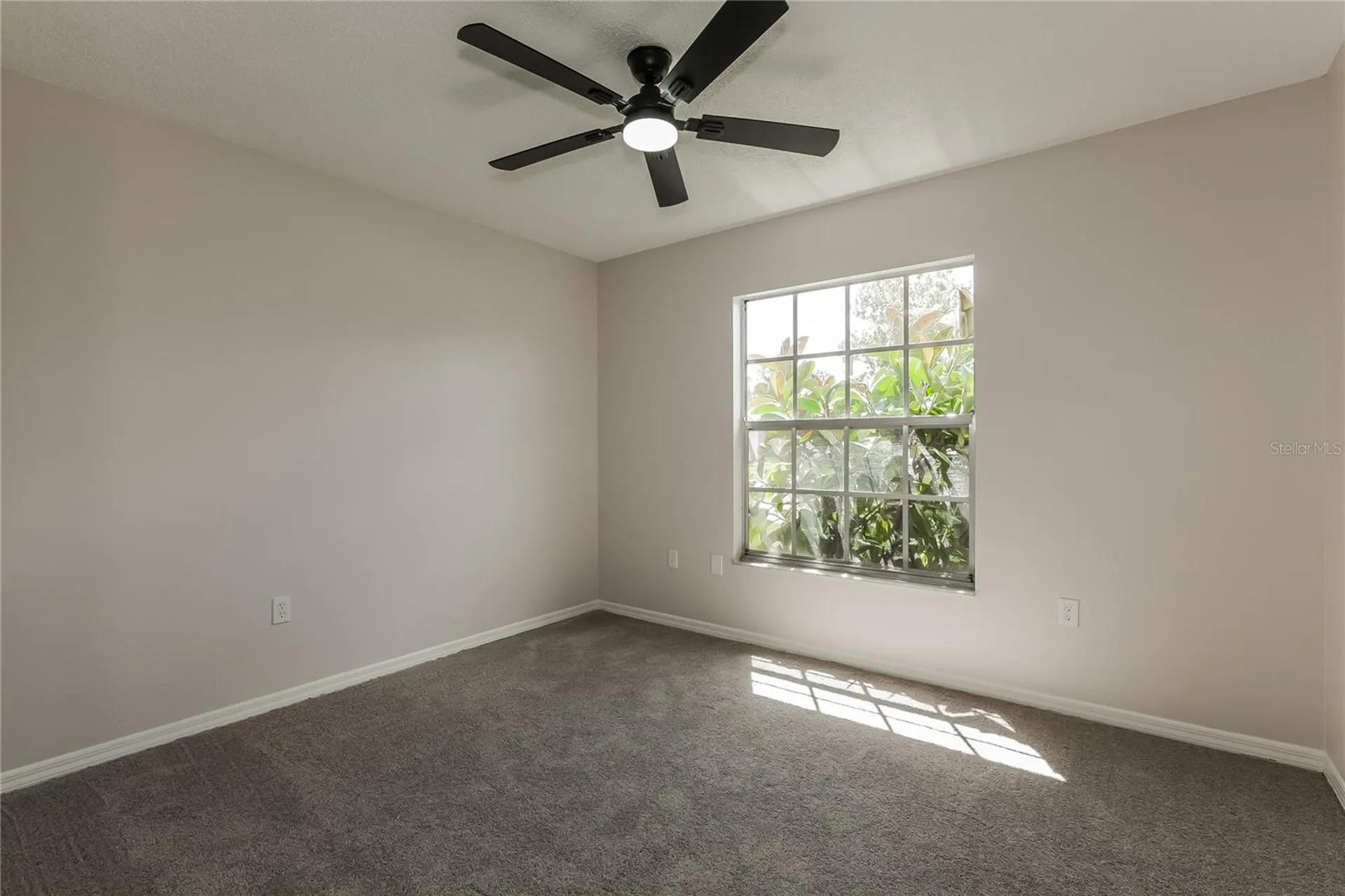 7725 Balharbour Drive New Port Richey FL 34653