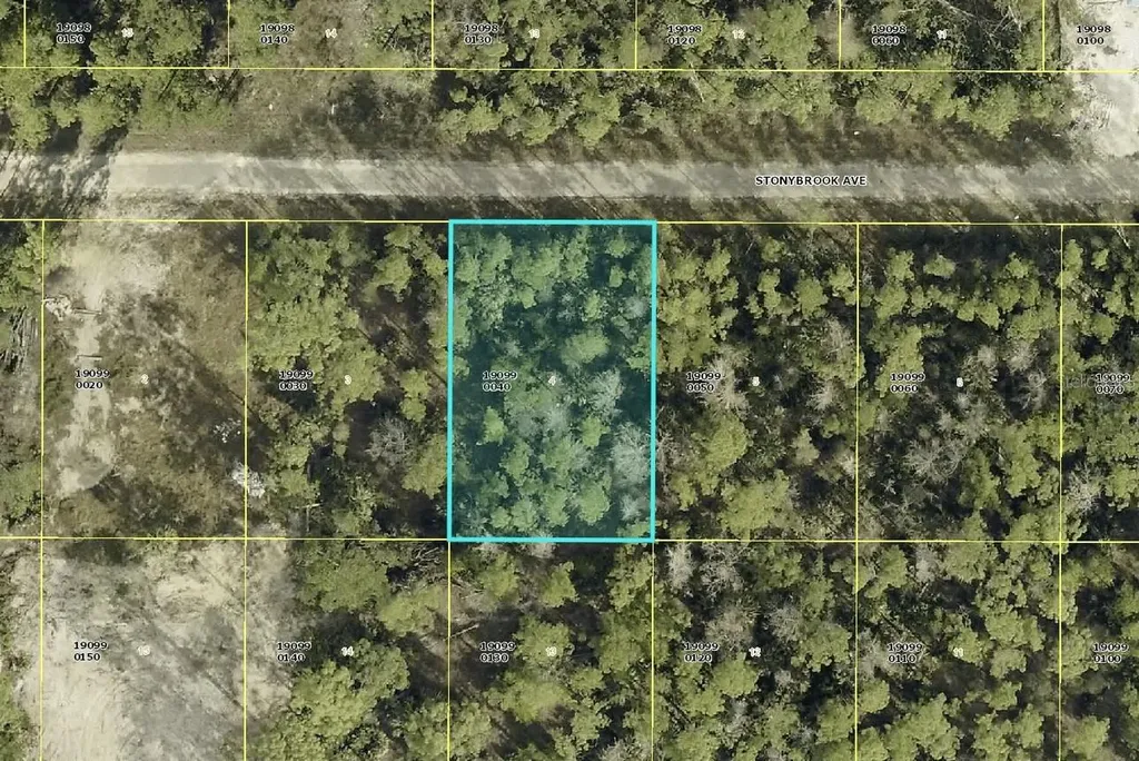 309 Stonybrook Avenue Lehigh Acres FL 33972