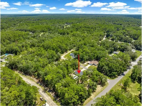 1423 W Hawk Lane Citrus Springs FL 34434