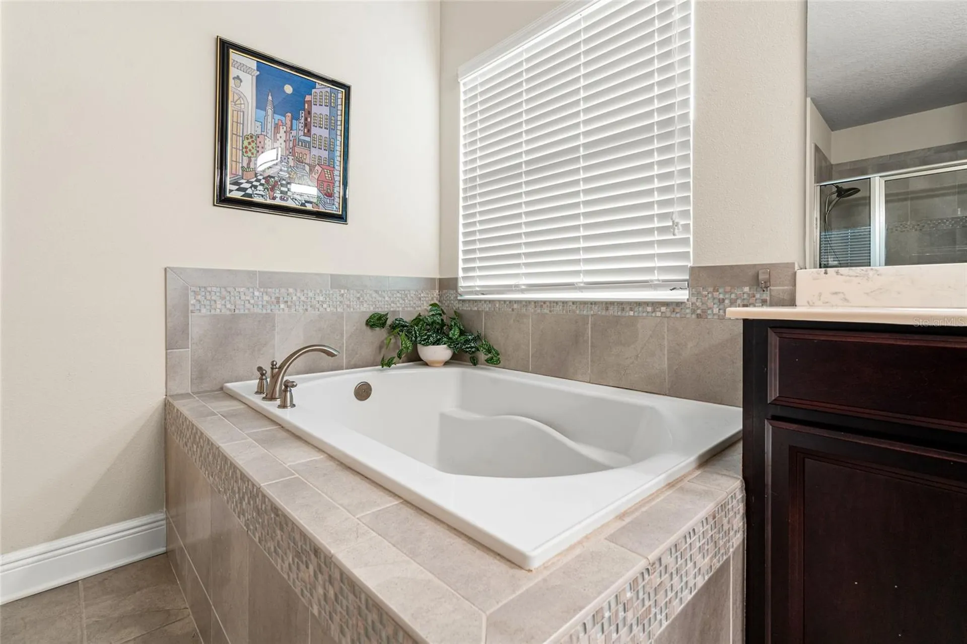 19813 Wellington Manor Boulevard Lutz FL 33549