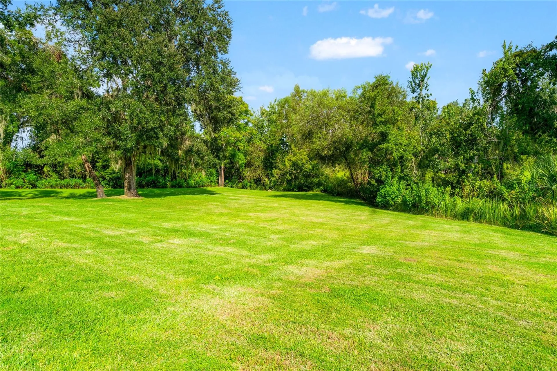 19813 Wellington Manor Boulevard Lutz FL 33549