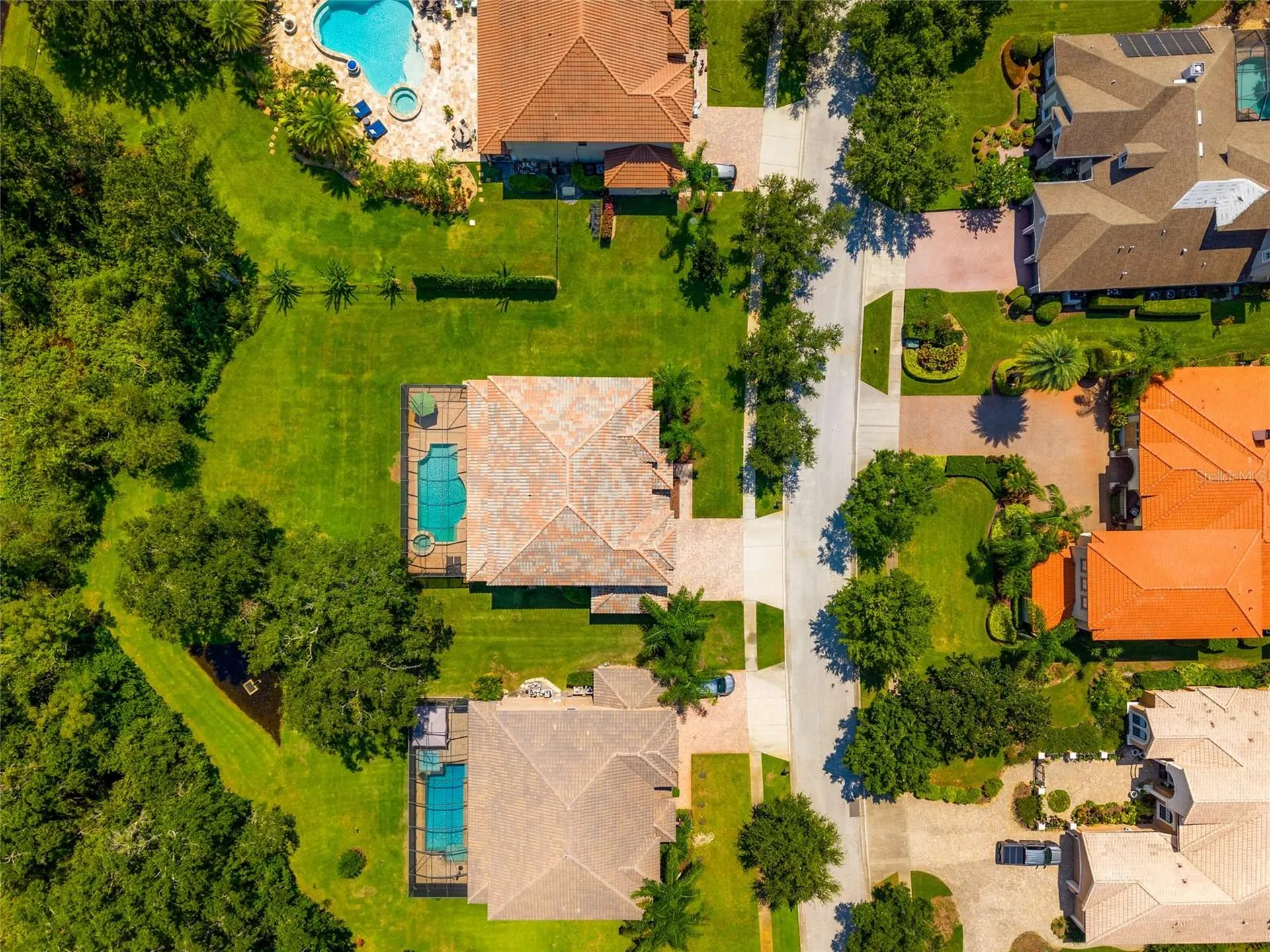 19813 Wellington Manor Boulevard Lutz FL 33549