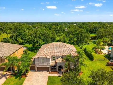 19813 Wellington Manor Boulevard Lutz FL 33549