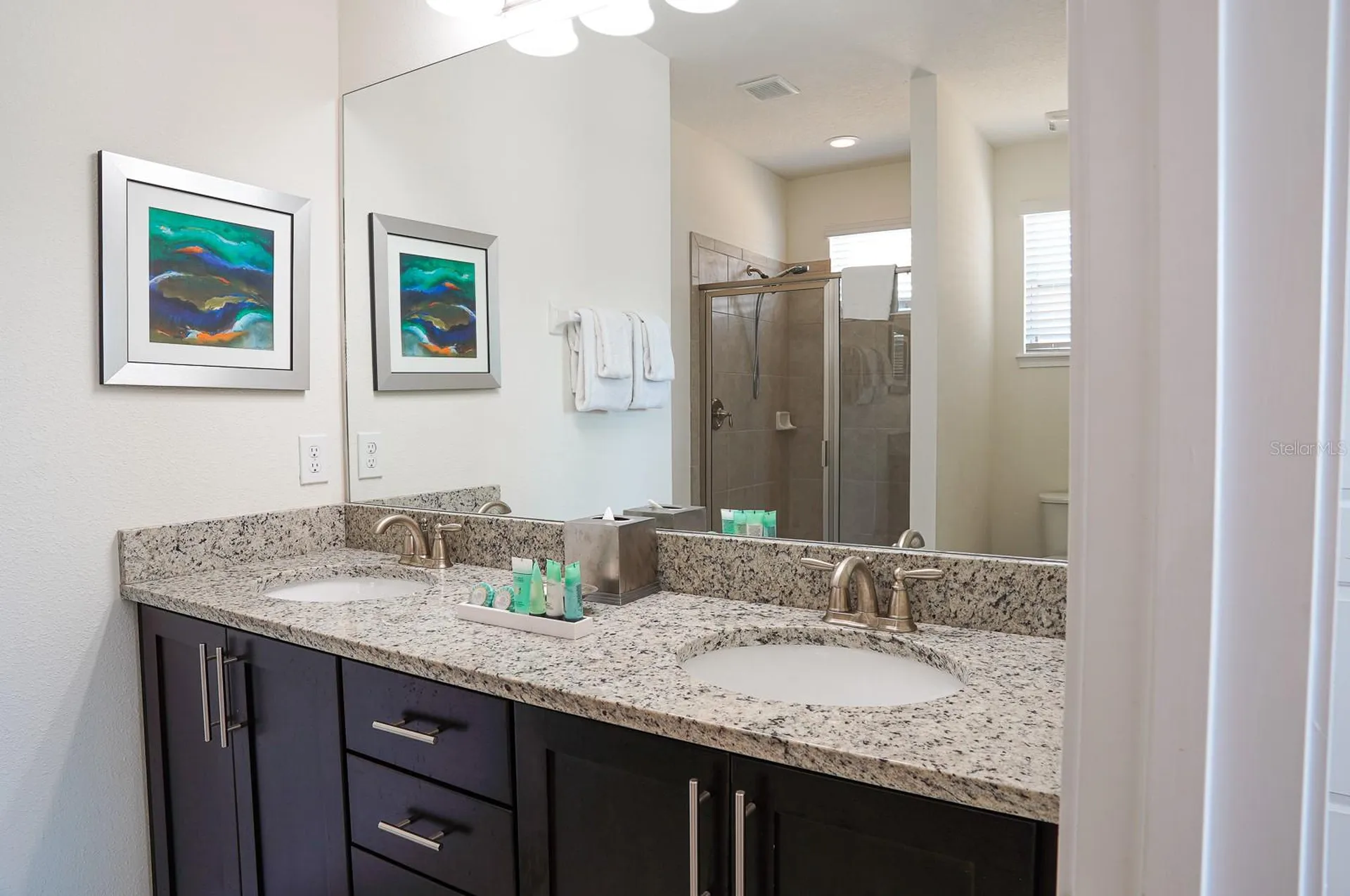 351 Pendant Court Kissimmee FL 34747