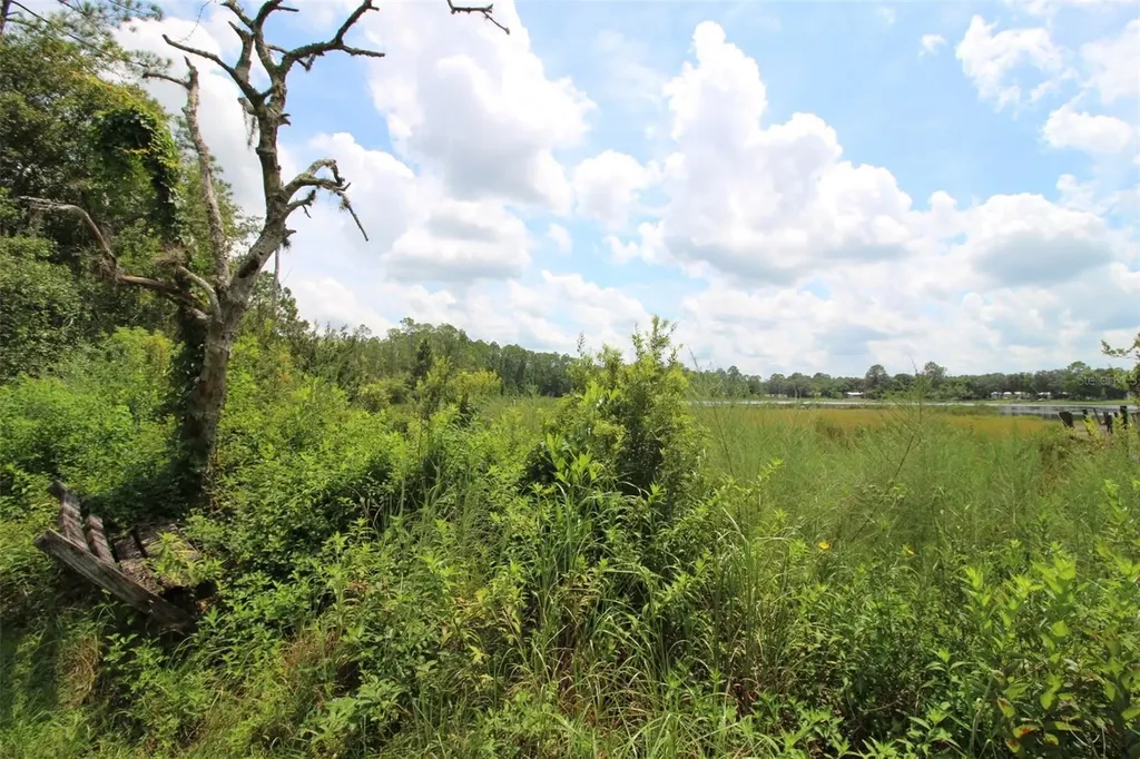 205 Susan Street Interlachen FL 32148