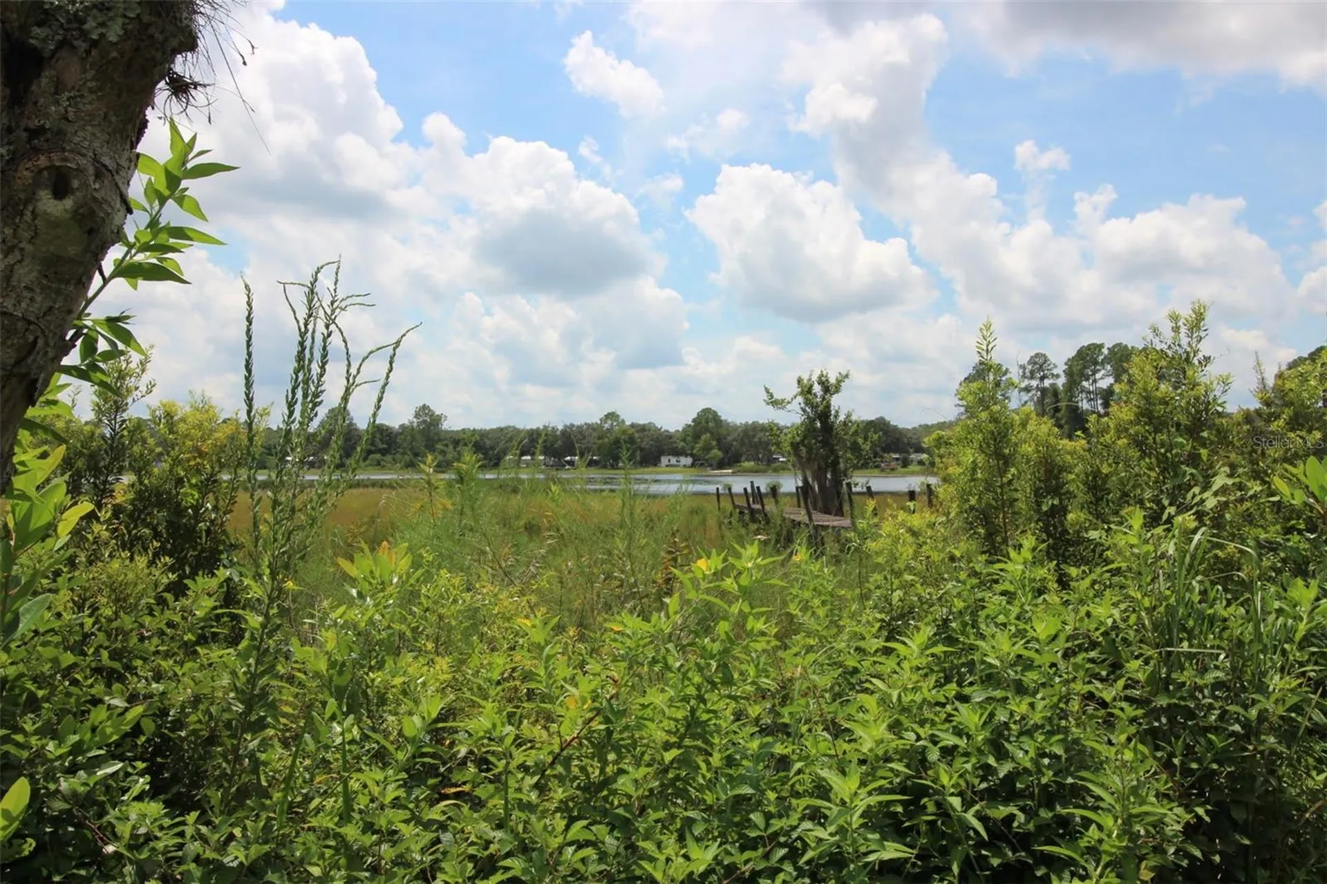 205 Susan Street Interlachen FL 32148