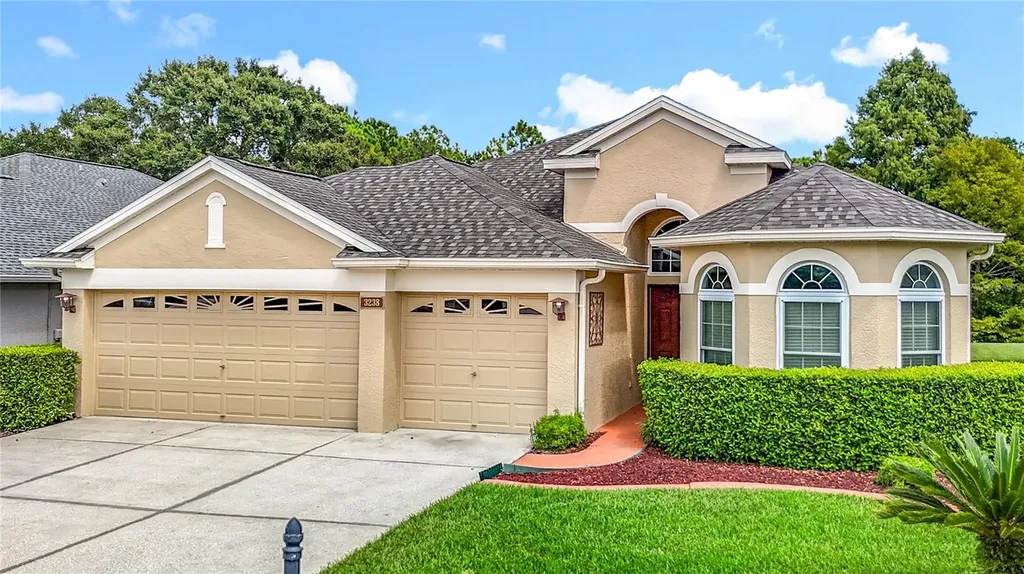 3238 Sago Point Court Land O Lakes FL 34639