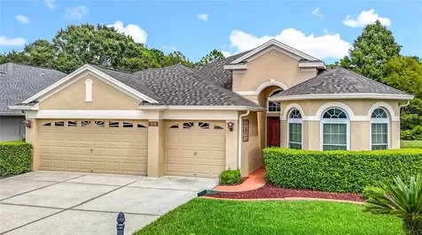 3238 Sago Point Court Land O Lakes FL 34639