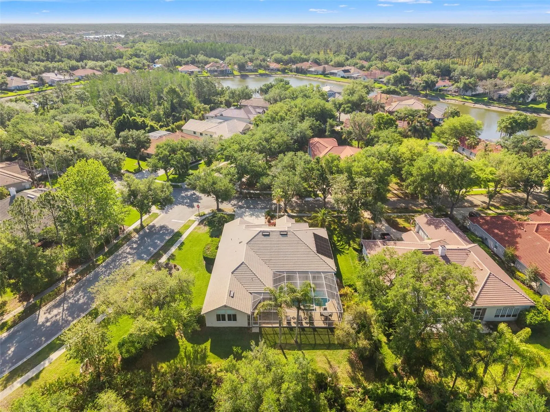 17890 Arbor Greene Drive Tampa FL 33647