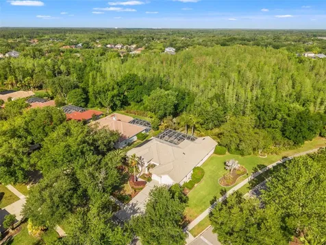 17890 Arbor Greene Drive Tampa FL 33647