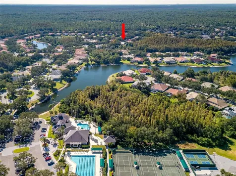 17890 Arbor Greene Drive Tampa FL 33647