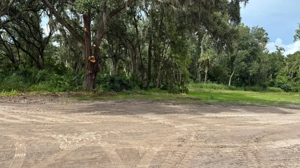 706 E Cherry Plant City FL 33563
