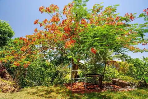 52 Cll Pascua Isabela PR 00662