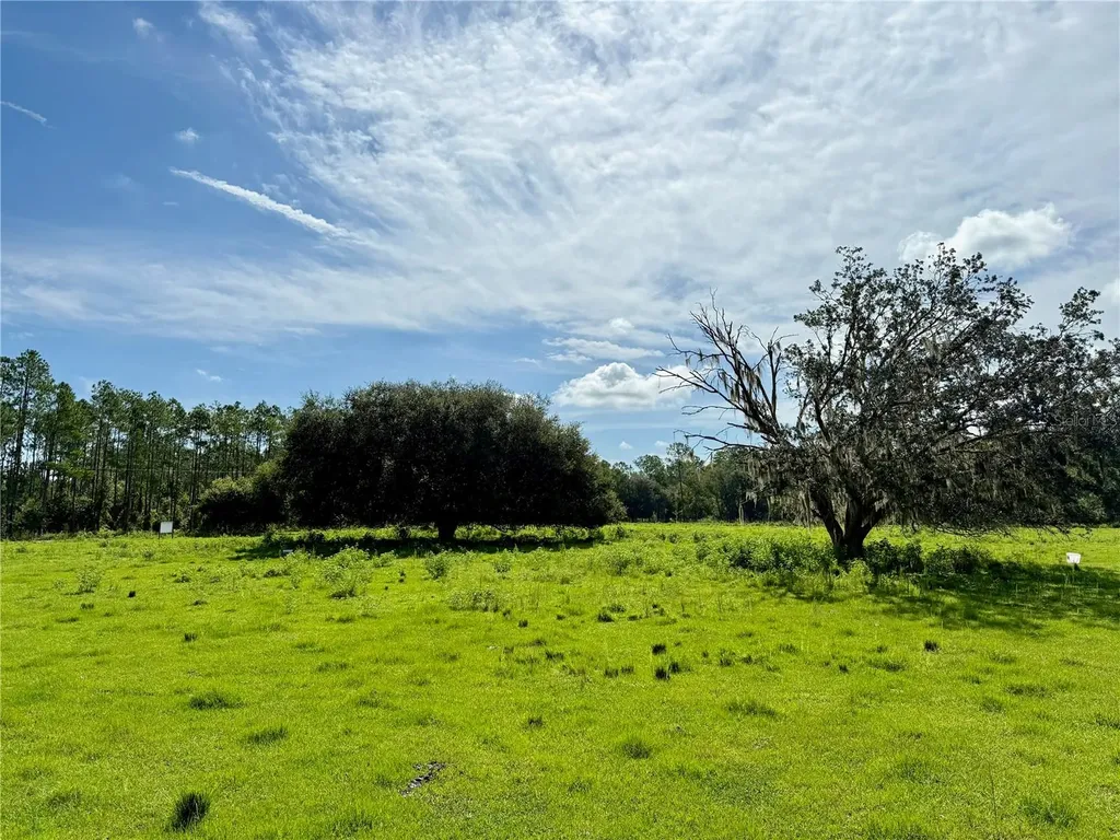 10460 Ehren Cutoff Land O Lakes FL 34639