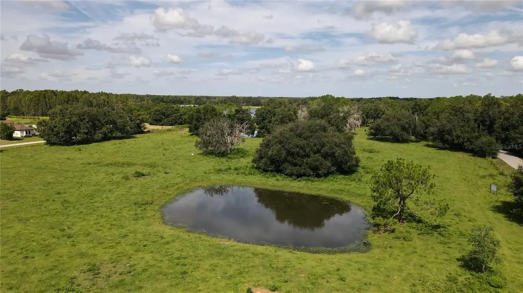 10460 Ehren Cutoff Land O Lakes FL 34639