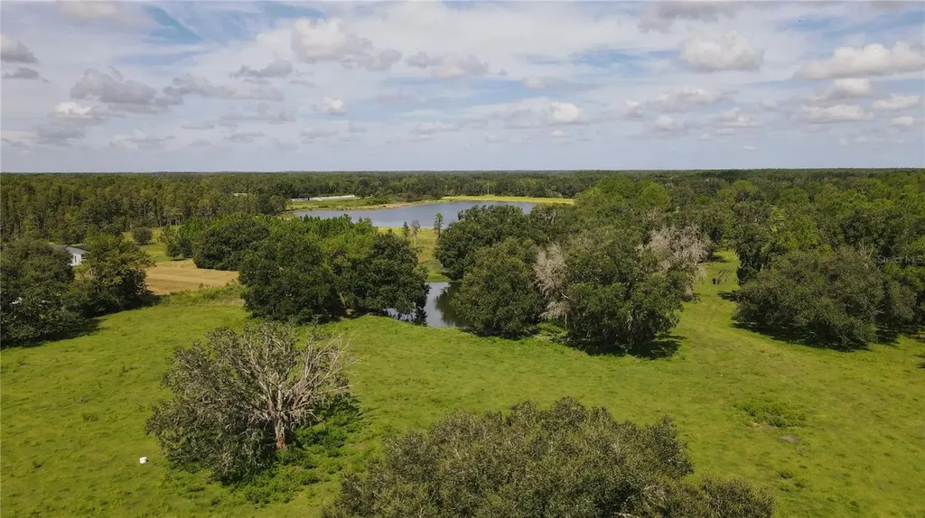 10460 Ehren Cutoff Land O Lakes FL 34639