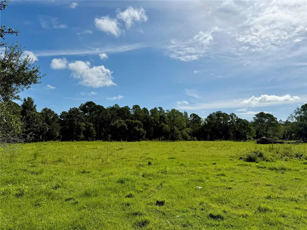 10460 Ehren Cutoff Land O Lakes FL 34639
