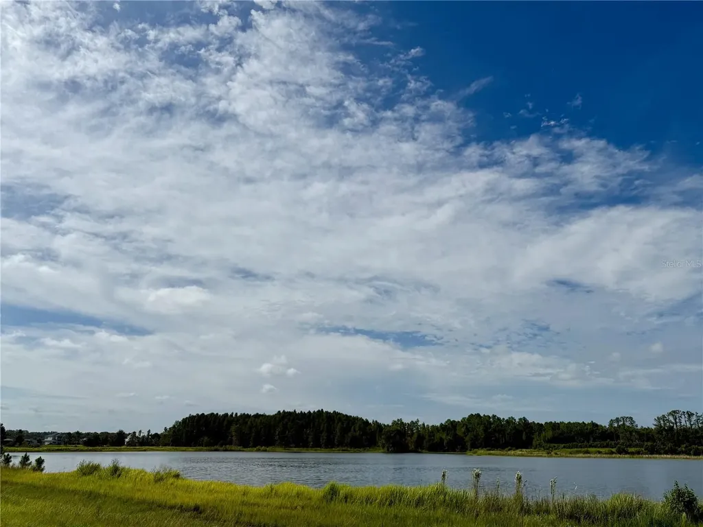 10460 Ehren Cutoff Land O Lakes FL 34639