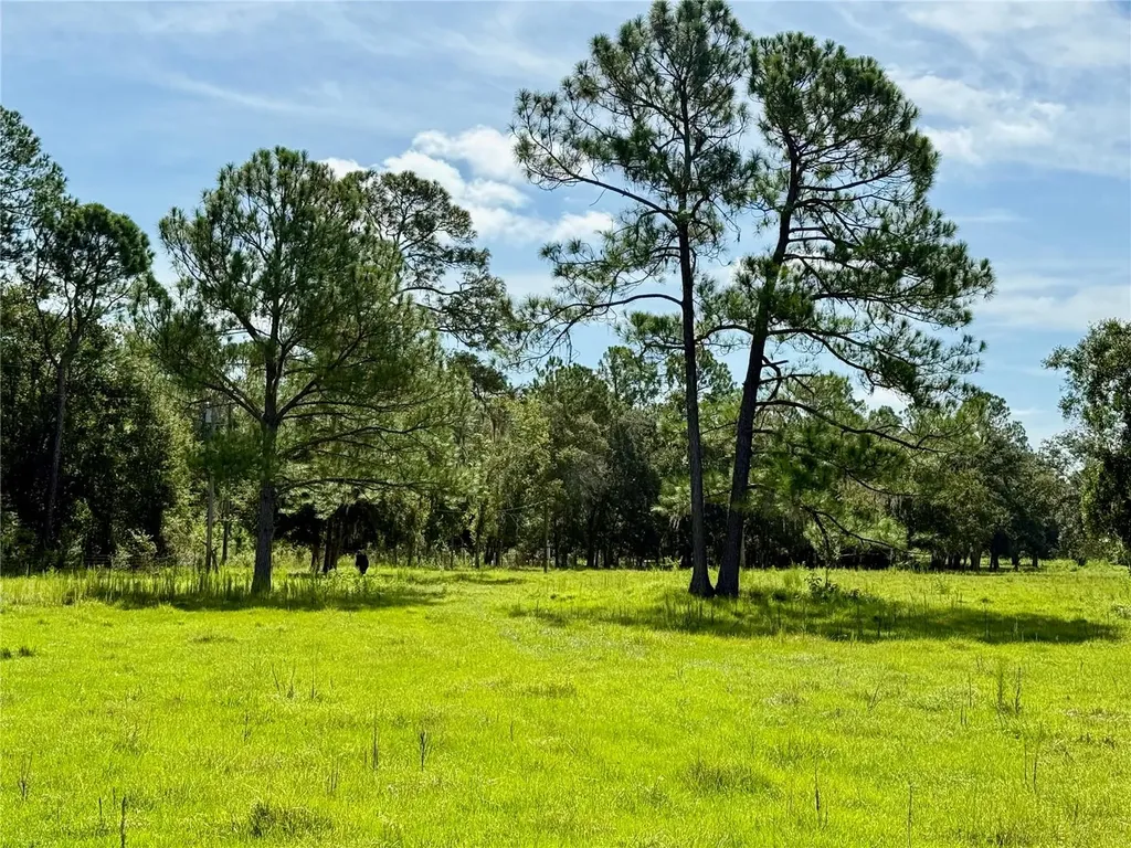 10460 Ehren Cutoff Land O Lakes FL 34639