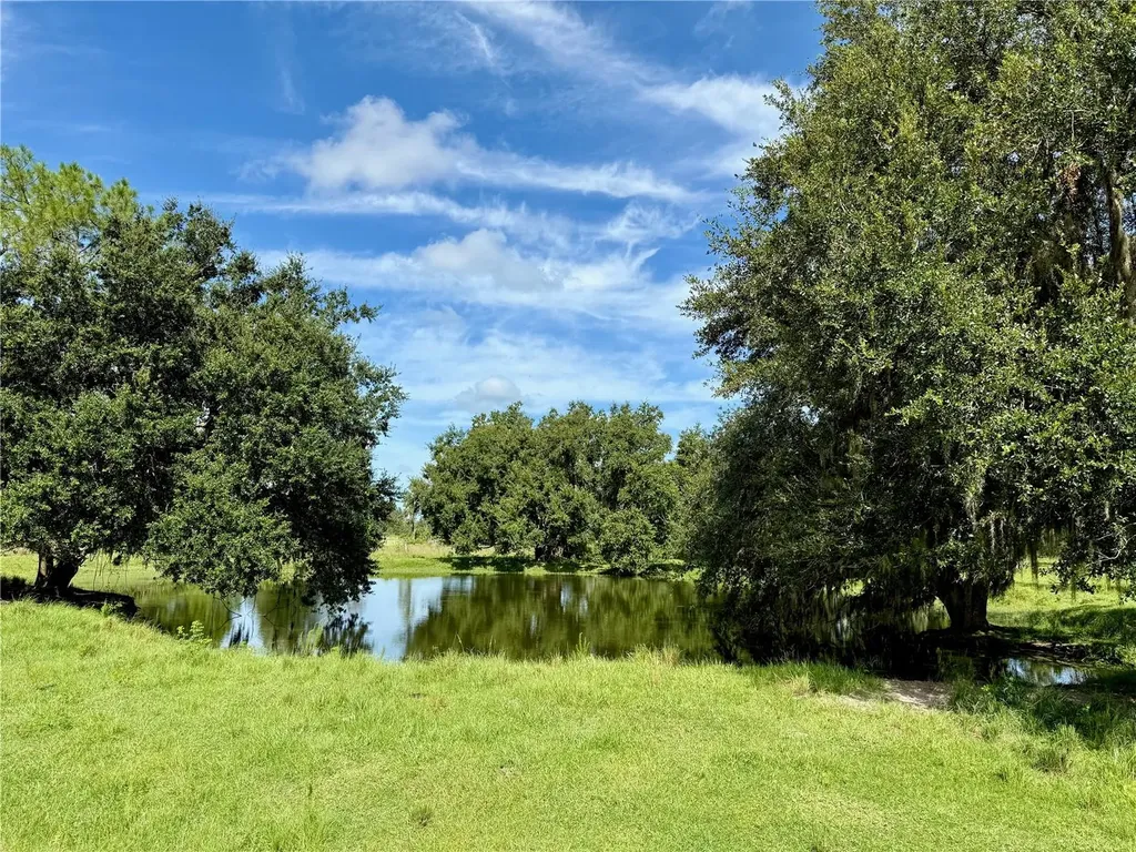 10460 Ehren Cutoff Land O Lakes FL 34639