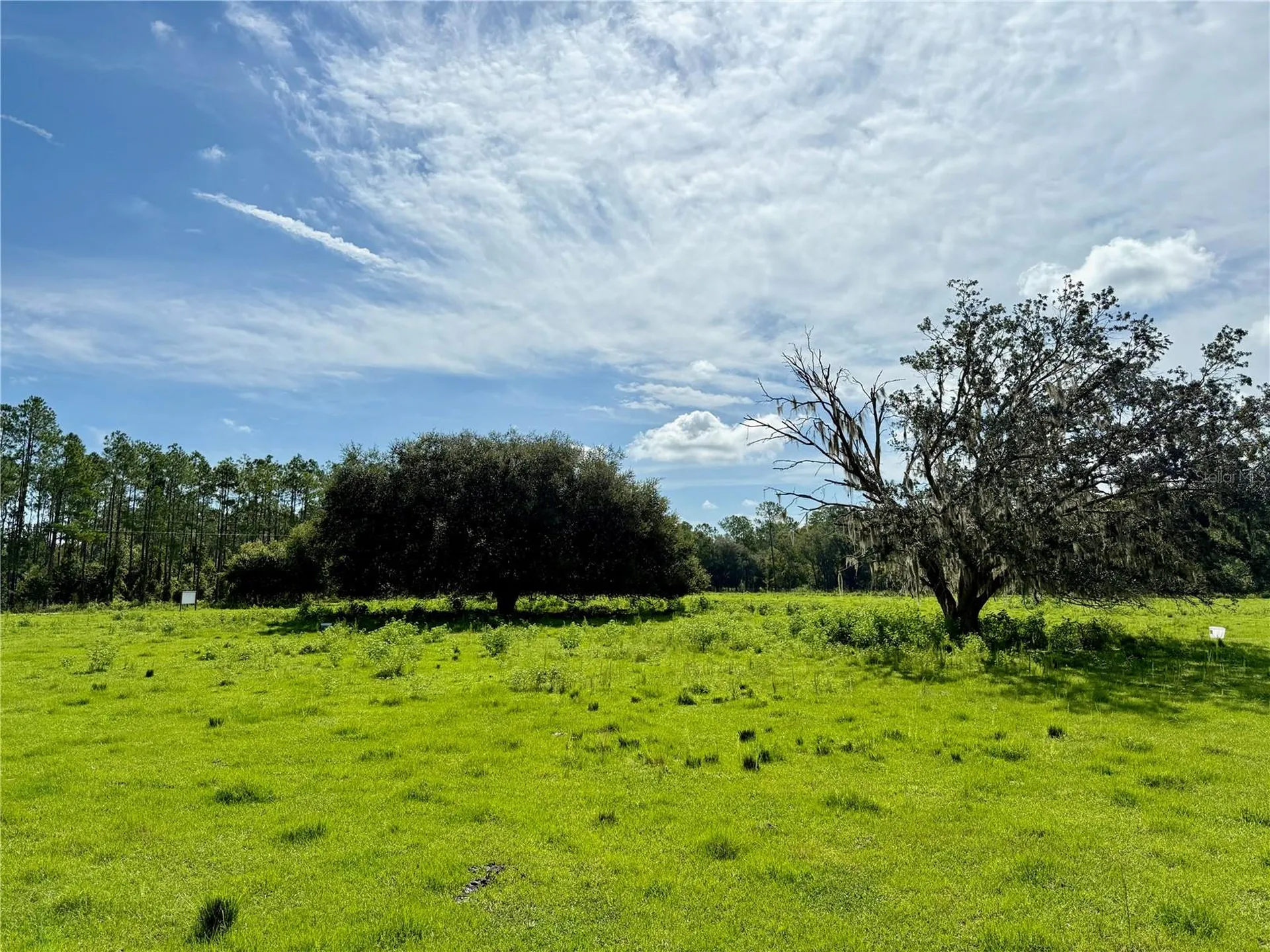 10460 Ehren Cutoff Land O Lakes FL 34639