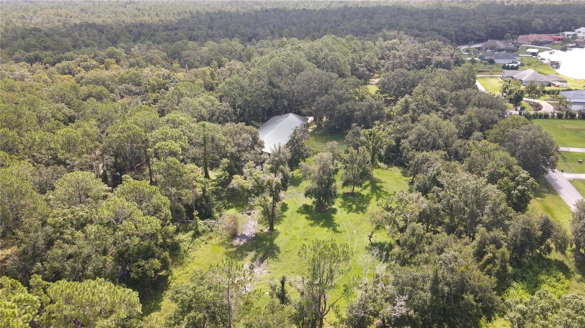 10460 Ehren Cutoff Land O Lakes FL 34639