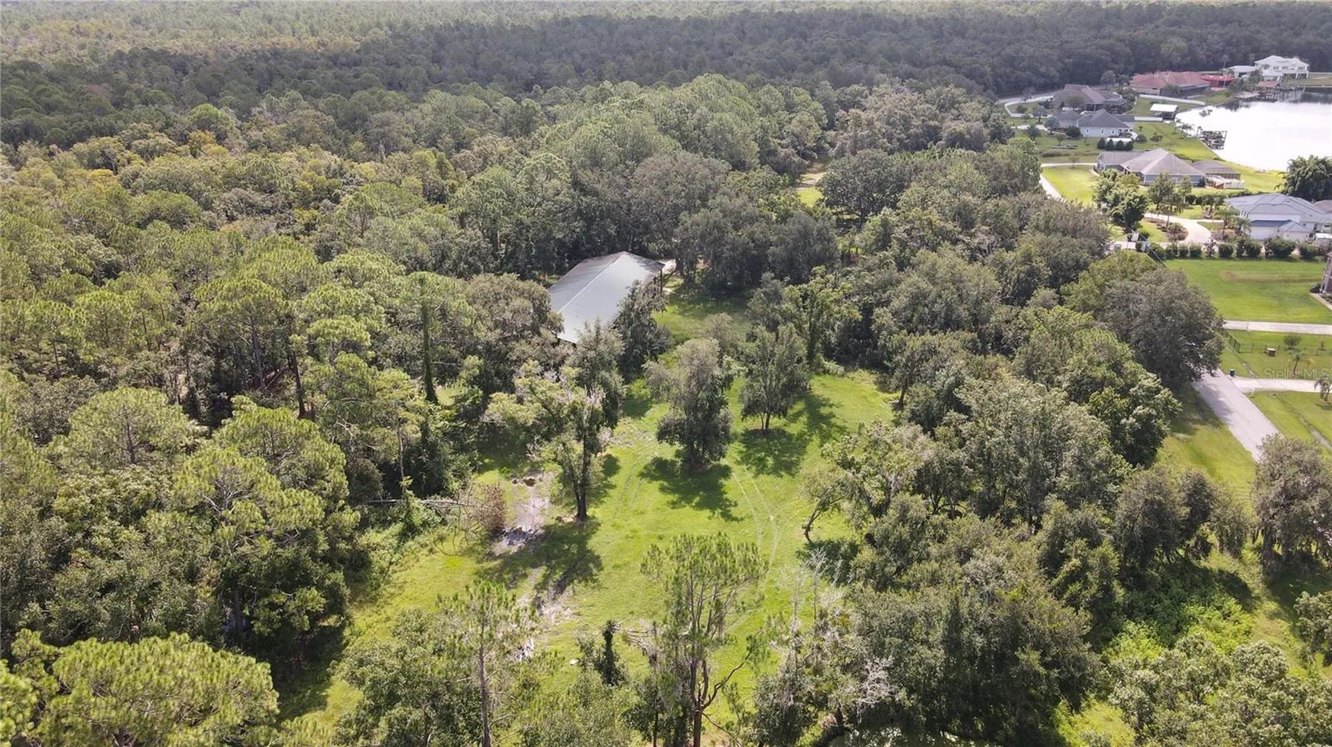 10460 Ehren Cutoff Land O Lakes FL 34639