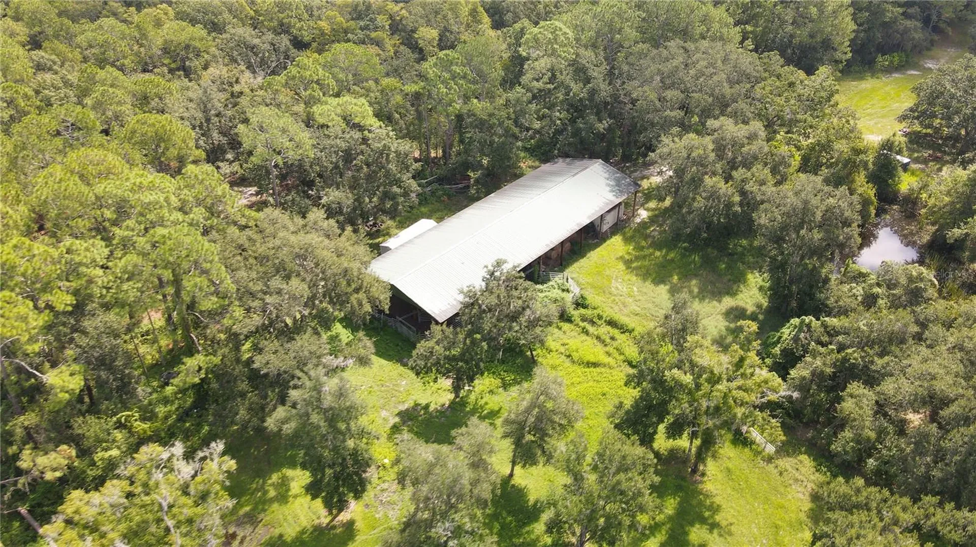 10460 Ehren Cutoff Land O Lakes FL 34639