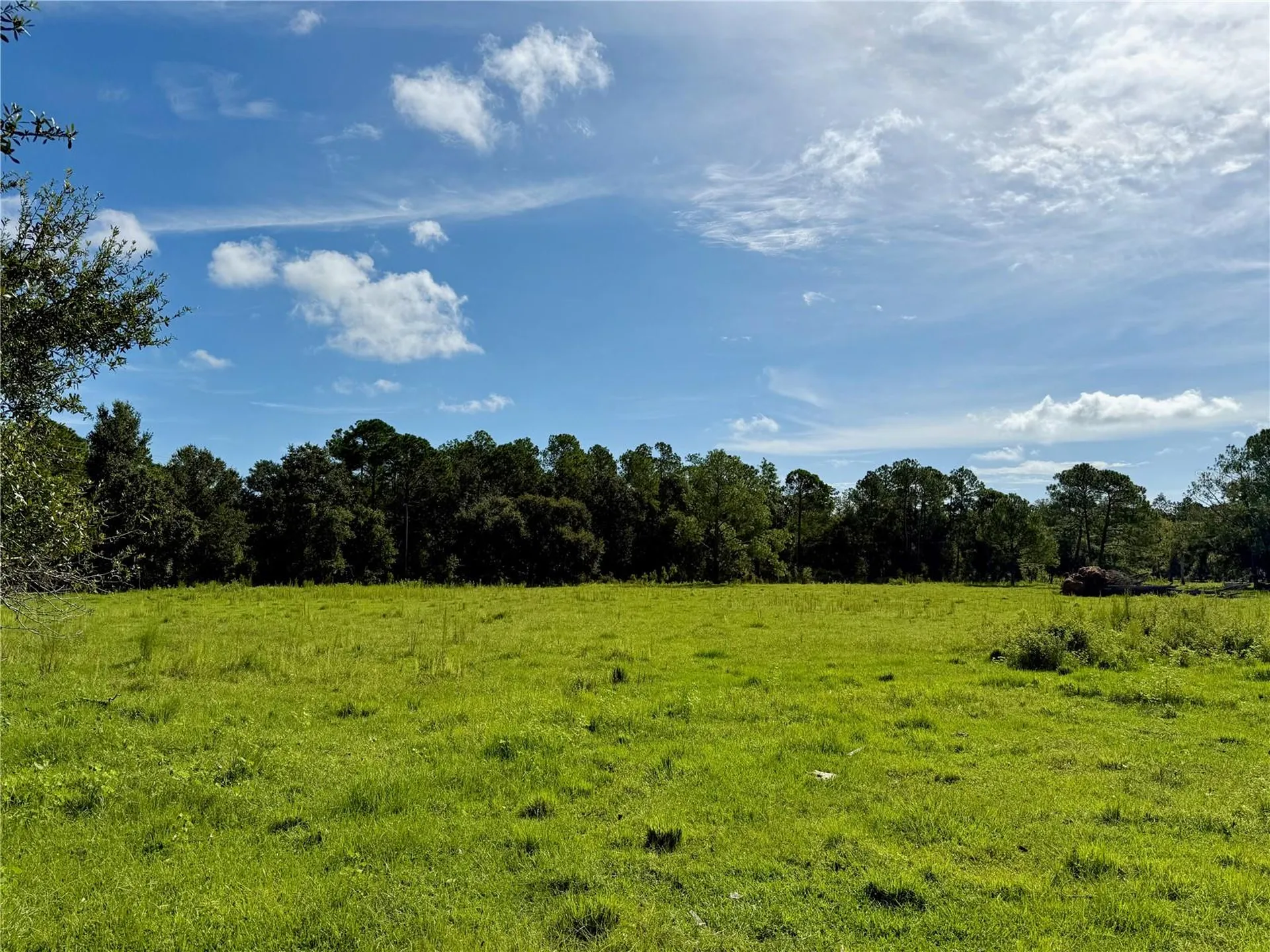 10460 Ehren Cutoff Land O Lakes FL 34639