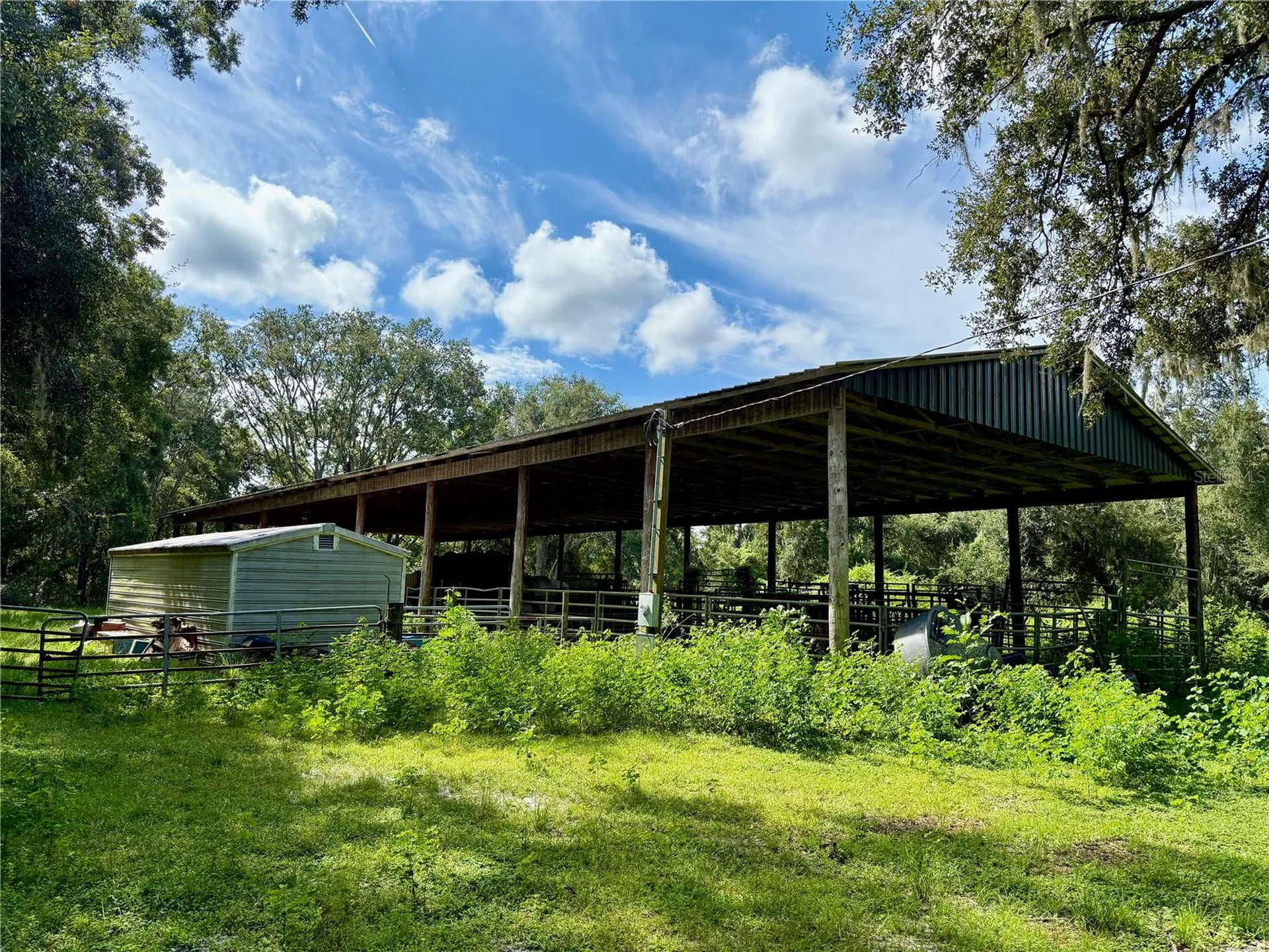 10460 Ehren Cutoff Land O Lakes FL 34639