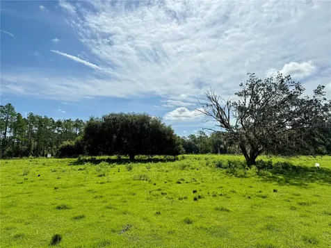 10460 Ehren Cutoff Land O Lakes FL 34639