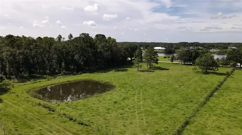 10460 Ehren Cutoff Land O Lakes FL 34639
