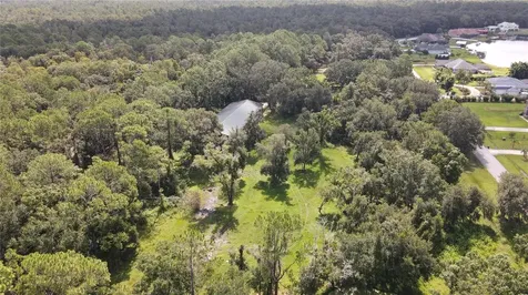 10460 Ehren Cutoff Land O Lakes FL 34639