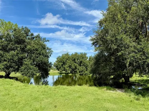 10460 Ehren Cutoff Land O Lakes FL 34639