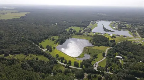 10460 Ehren Cutoff Land O Lakes FL 34639