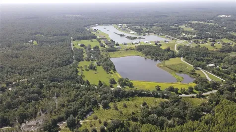 10460 Ehren Cutoff Land O Lakes FL 34639